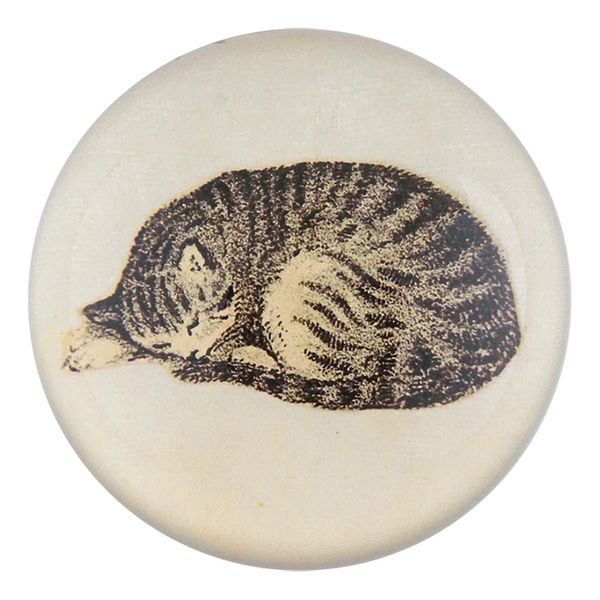 John Derian Napping Dome Paperweight