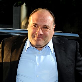 Actor James Gandolfini arrives at HBO's New Series 'Newsroom' Los Angeles Premiere at ArcLight Cinemas Cinerama Dome on June 20, 2012 in Hollywood, California.