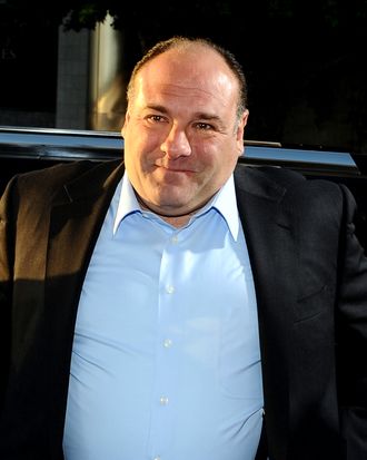 Actor James Gandolfini arrives at HBO's New Series 'Newsroom' Los Angeles Premiere at ArcLight Cinemas Cinerama Dome on June 20, 2012 in Hollywood, California.