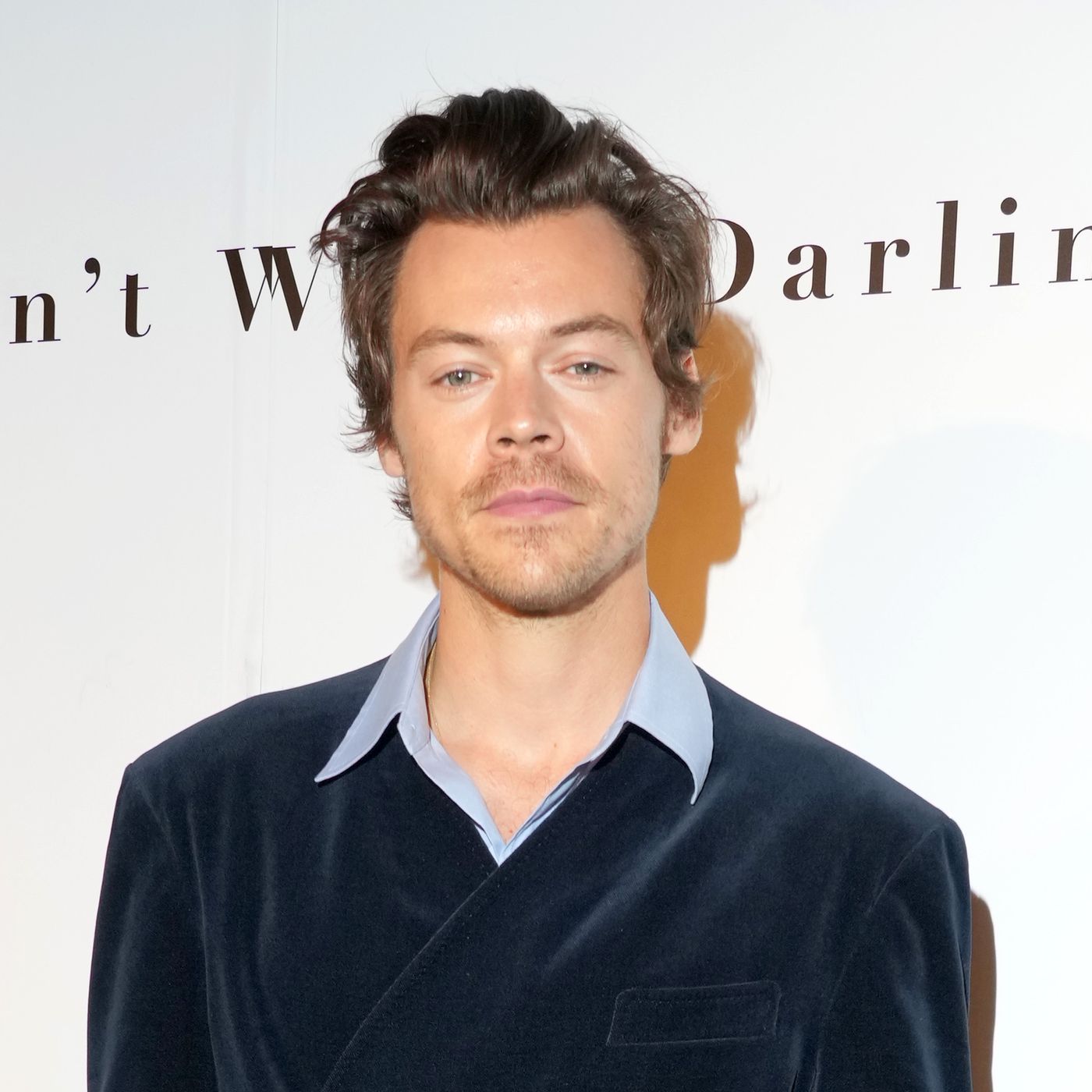 Harry Styles's Hair Challenged 'Don't Worry Darling' Team
