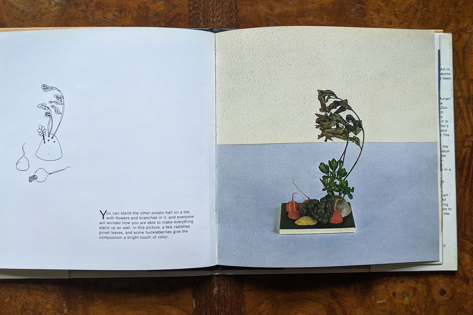 Fleurotica's Robin Rose Hilleary on Her Favorite Design Book