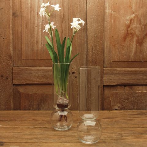 HomArt Glass Bulb Vase
