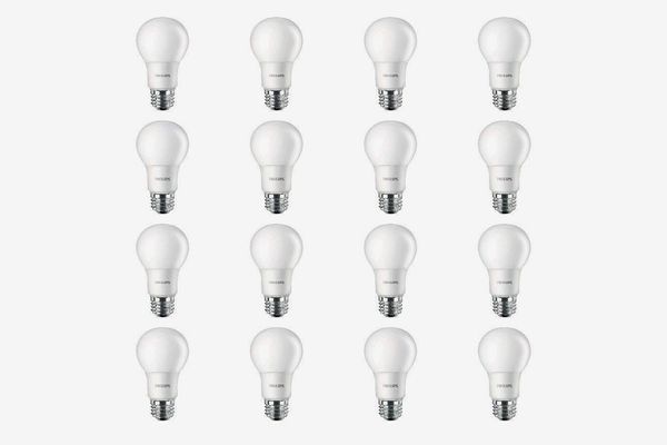 14 Best Led Light Bulbs 2020 The, What Light Bulbs Are Best For Bathroom Vanity