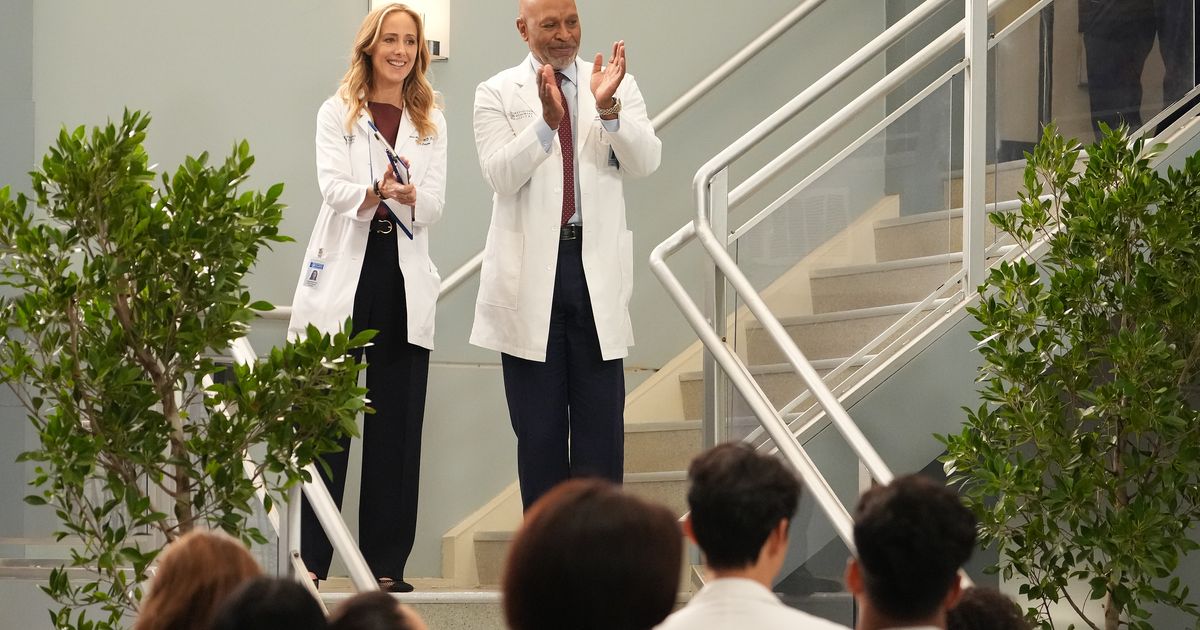 Grey’s Anatomy Season-Finale Recap: Final Declarations
