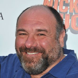 HOLLYWOOD, CA - MAY 20: Actor James Gandolfini arrives at the premiere of Nickelodeon's 'Nicky Deuce' at ArcLight Cinemas on May 20, 2013 in Hollywood, California. (Photo by Angela Weiss/Getty Images)