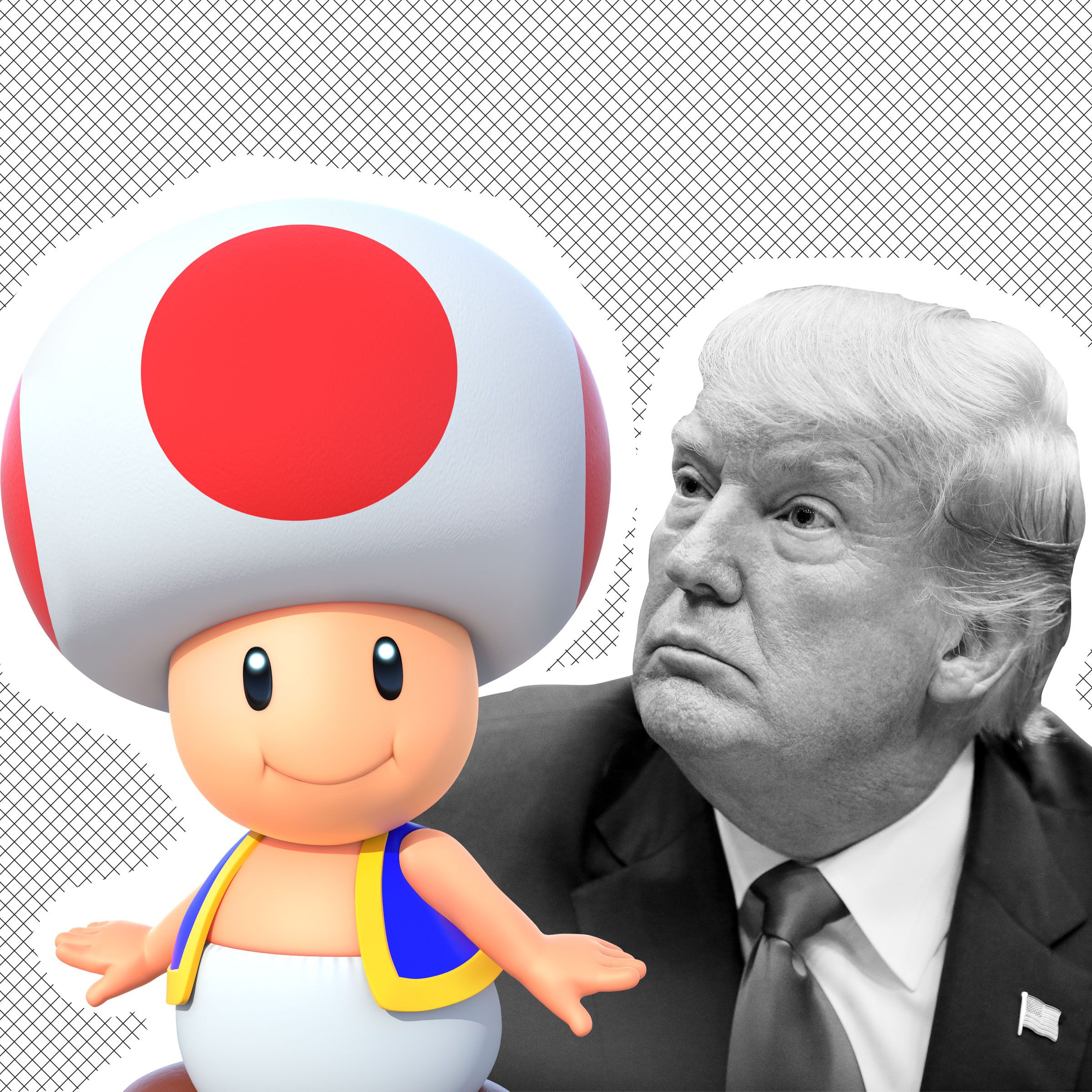 Stormy Daniels Donald Trumps Penis is Toad from Mario Kart