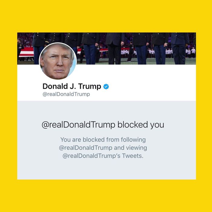 Judge Says Trump Should Mute Not Block People On Twitter