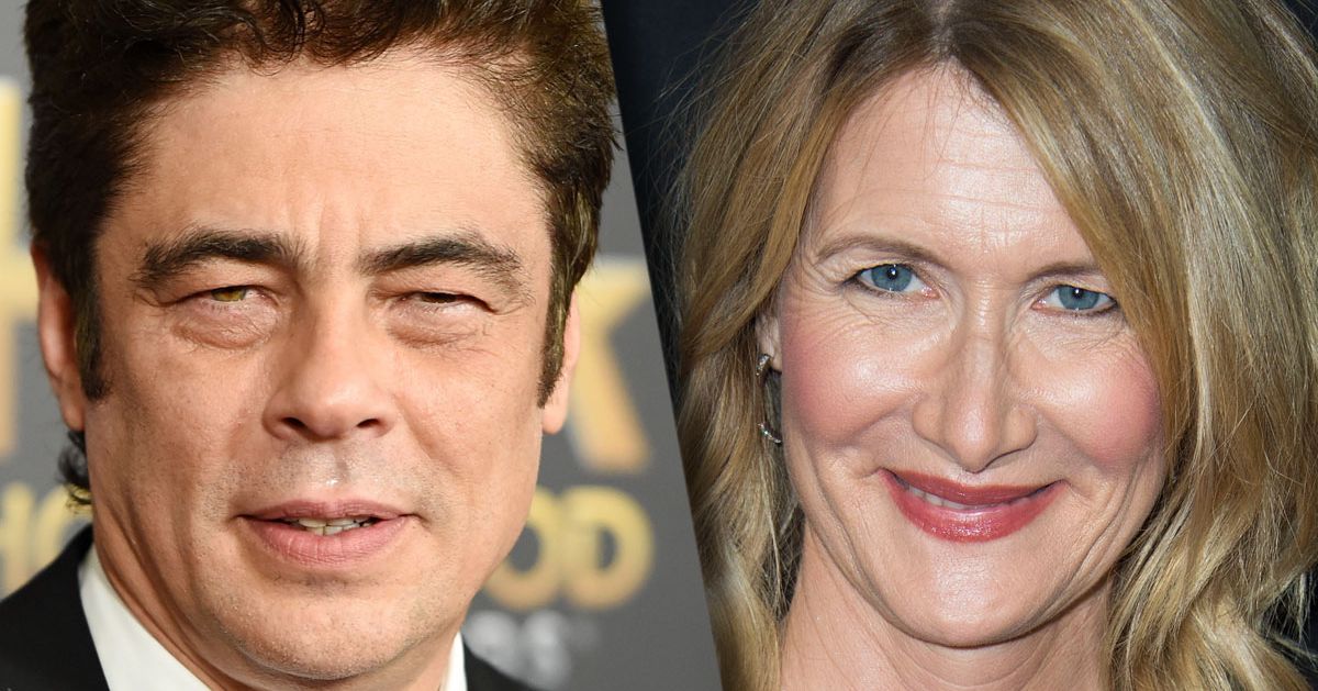 勞拉鄧恩 (Laura Dern) 和本尼西奧德爾托羅 (Benicio Del Toro) 加入演員陣容星際大戰：第 8 集，該片目前正在製作中