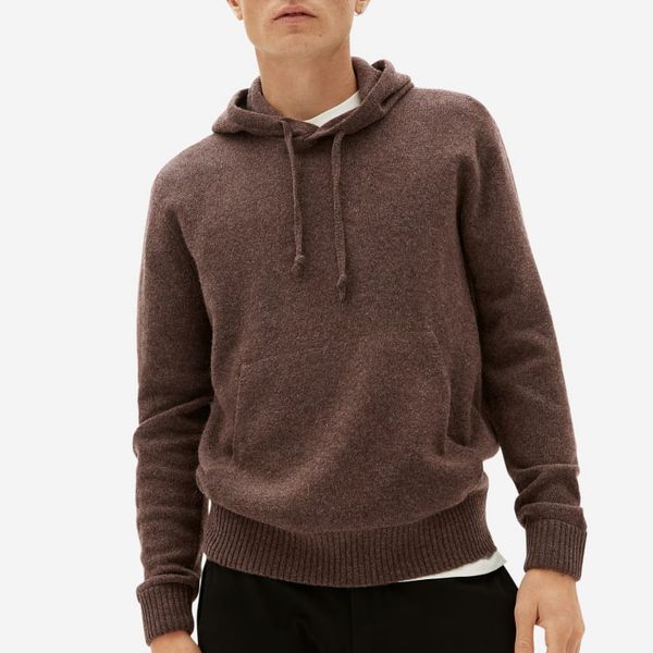 Everlane Felted Merino Hoodie