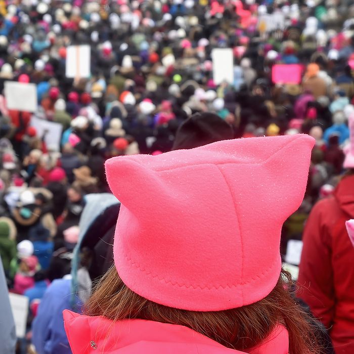 School Pussy Sex - Student Club Stop Selling Pink Pussy Hats After Complaints