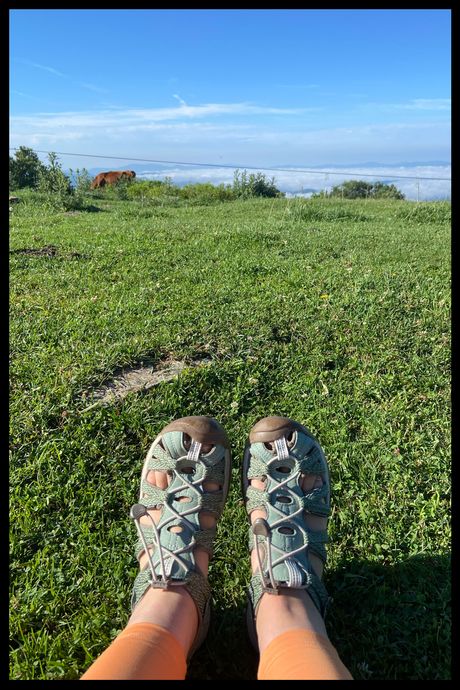 A photo of a person's feet wearing green closed-toe sandals with mountains in the background.