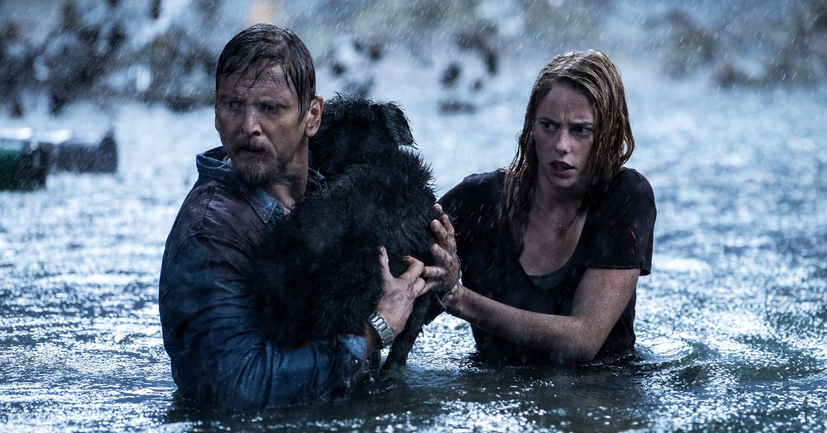 The 7 Must-Watch Movies on Paramount+ This August