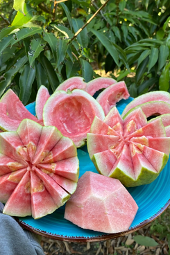 Miami Fruit Watermelon Guava