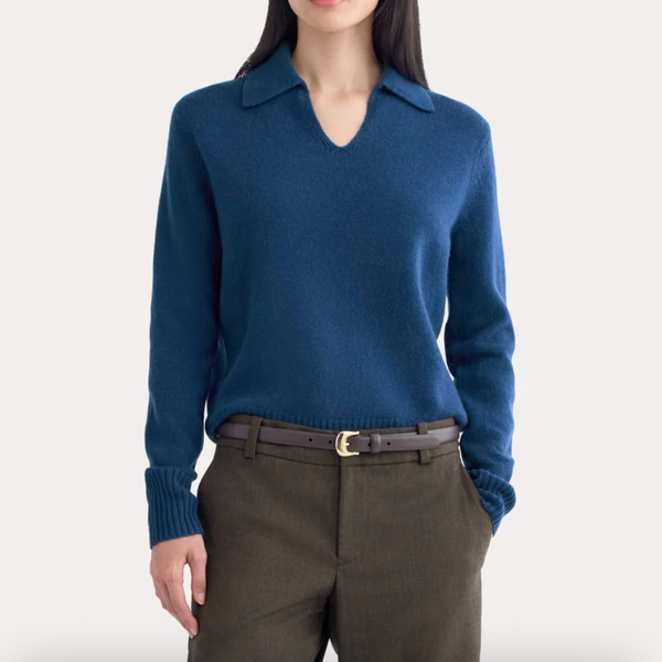 Everlane Cashmere Polo Sweater