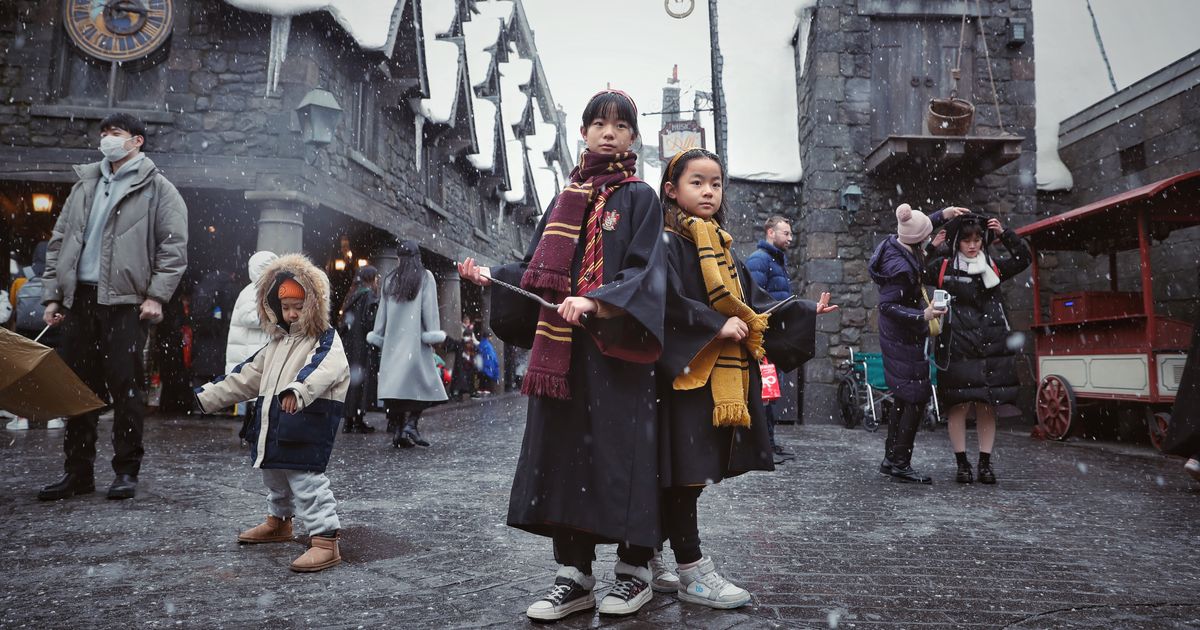 So What's Netflix Planning to Do With All Those Parks?