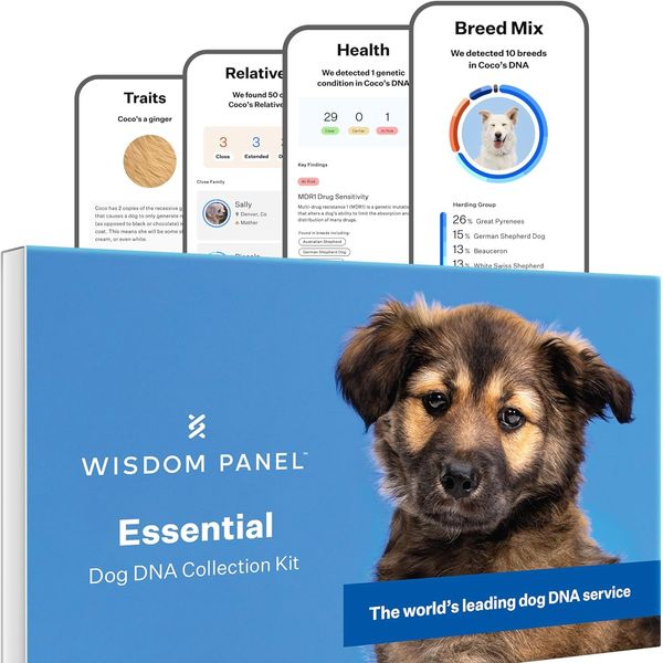 Wisdom Panel Essential Dog DNA Testing Kit