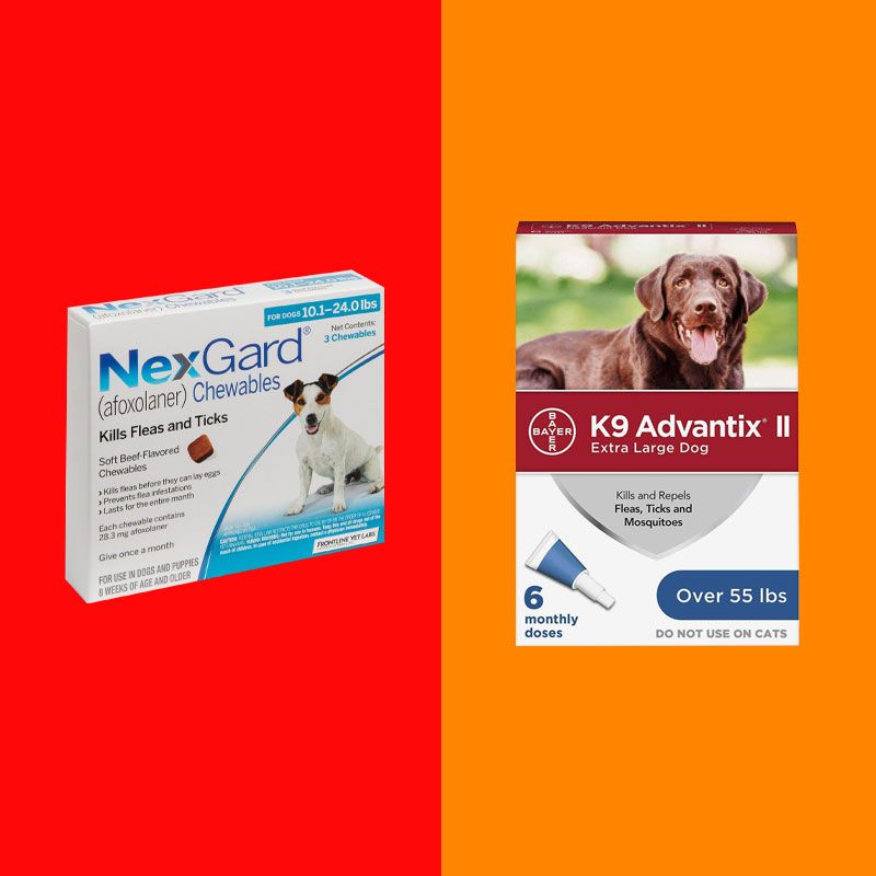 Flea and tick med for puppies sale