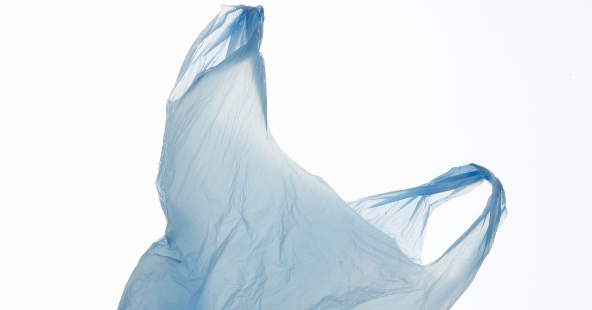 State Senate Votes to Cancel NYC’s Looming Plastic-Bag Fee