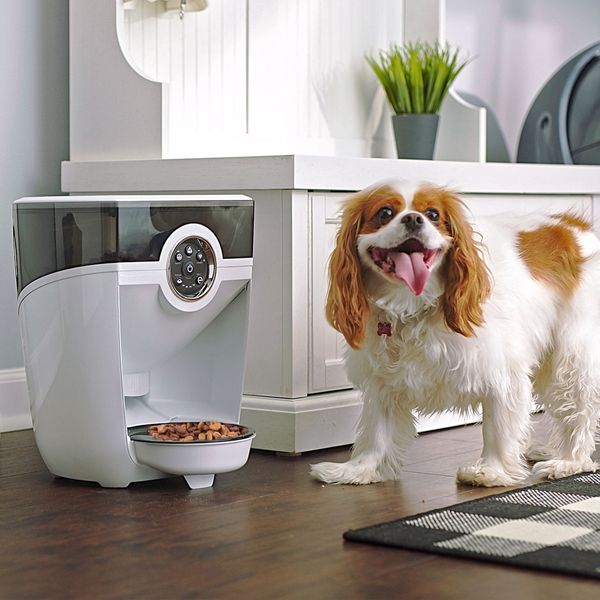 Whisker Feeder-Robot Smoke Hopper Dog & Cat Feeder
