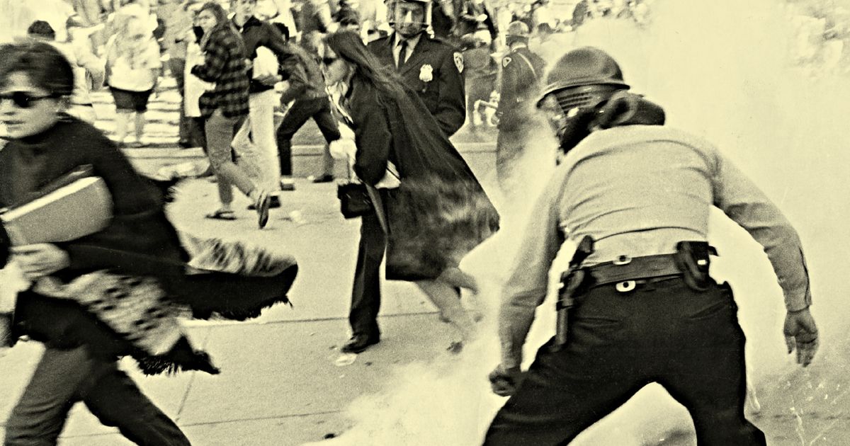 My Life in Protest From Vietnam to No Kings