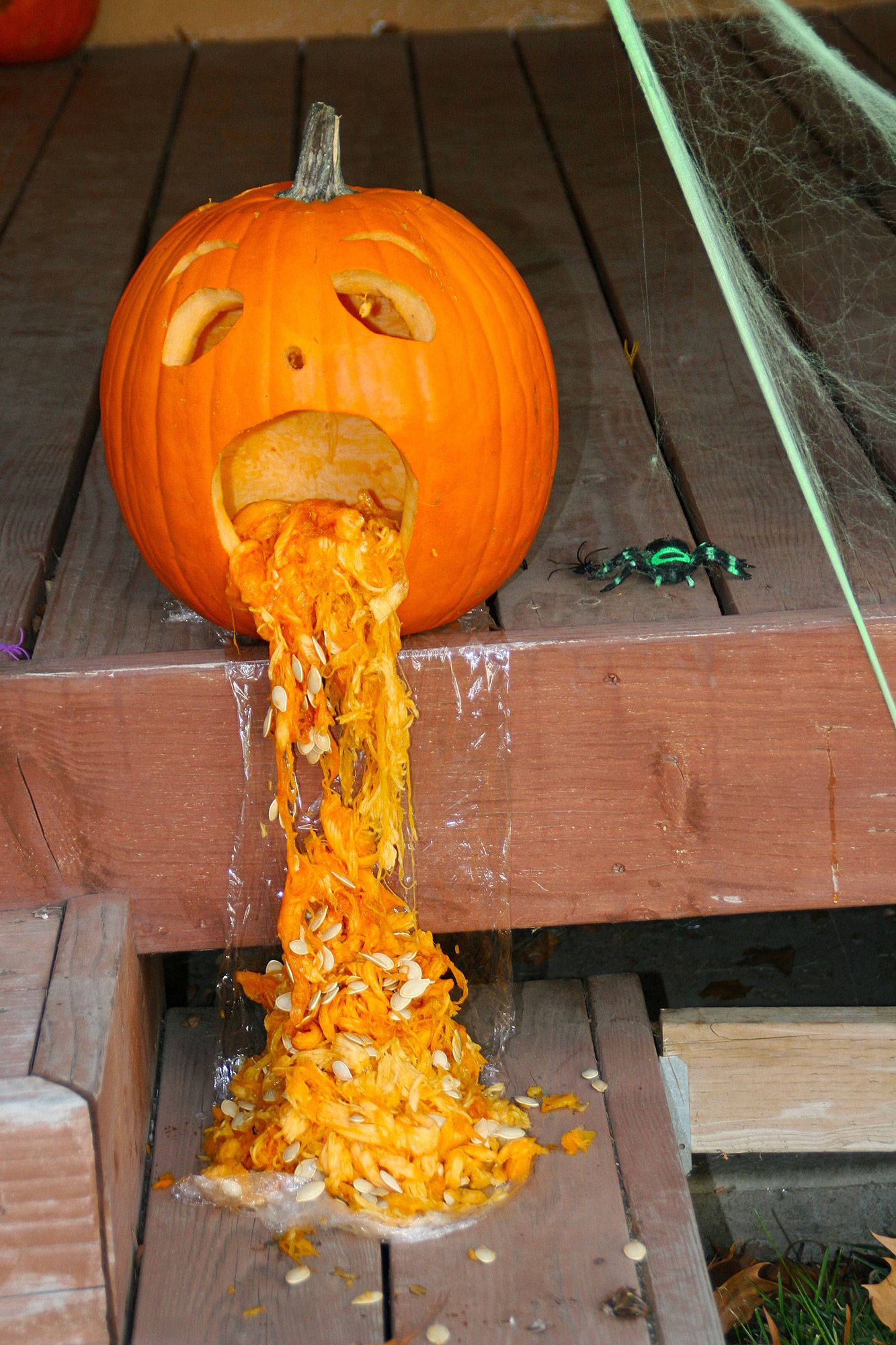 10 Reasons These Pumpkins Are Puking