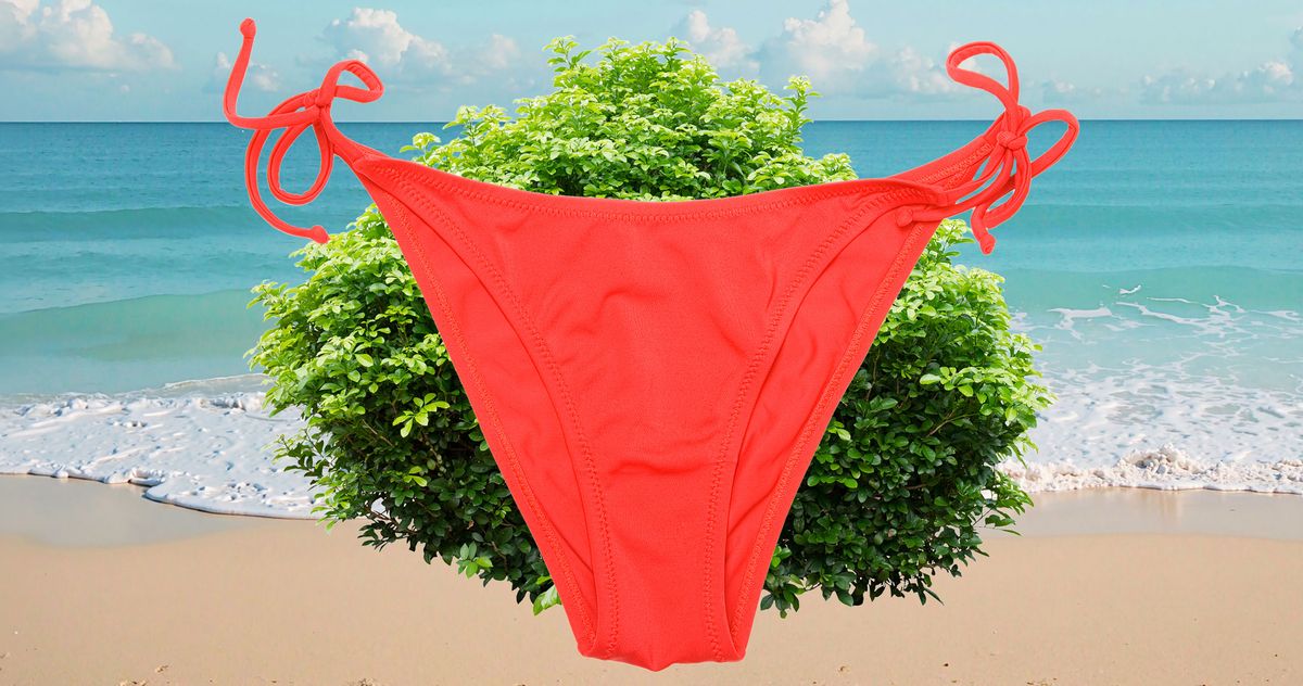 I Took My Bush to the Beach. Did Anyone&hellip;