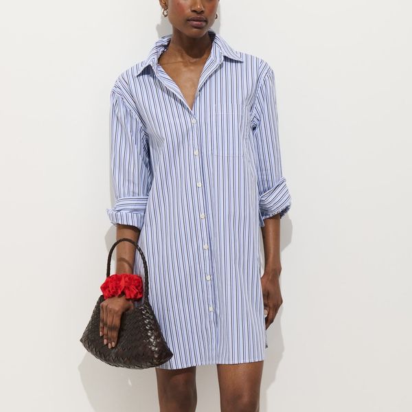 Alex Mill Florence Striped Shirt Dress in Poplin
