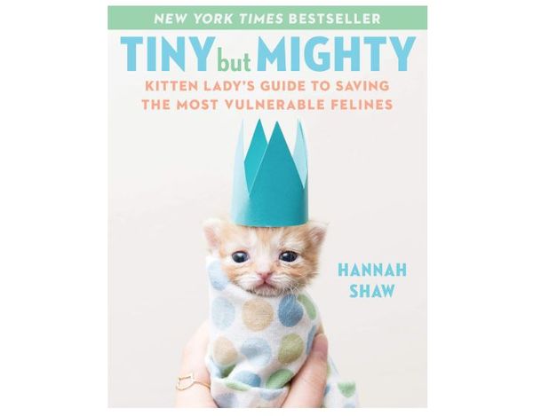 Tiny But Mighty: Kitten Lady's Guide to Saving the Most Vulnerable Felines by Hannah Shaw