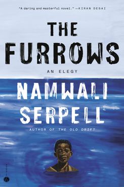 “The Furrows” by Namwali Serpell