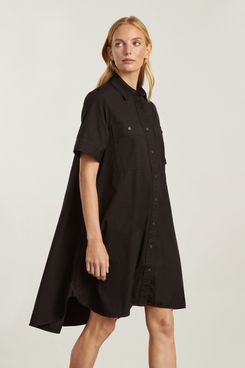 Everlane The Daytripper Shirtdress