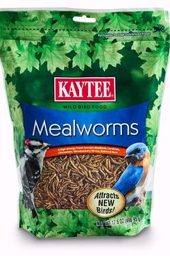 Kaytee 100505655 Mealworms, 17.6 oz, 17.6 Ounce