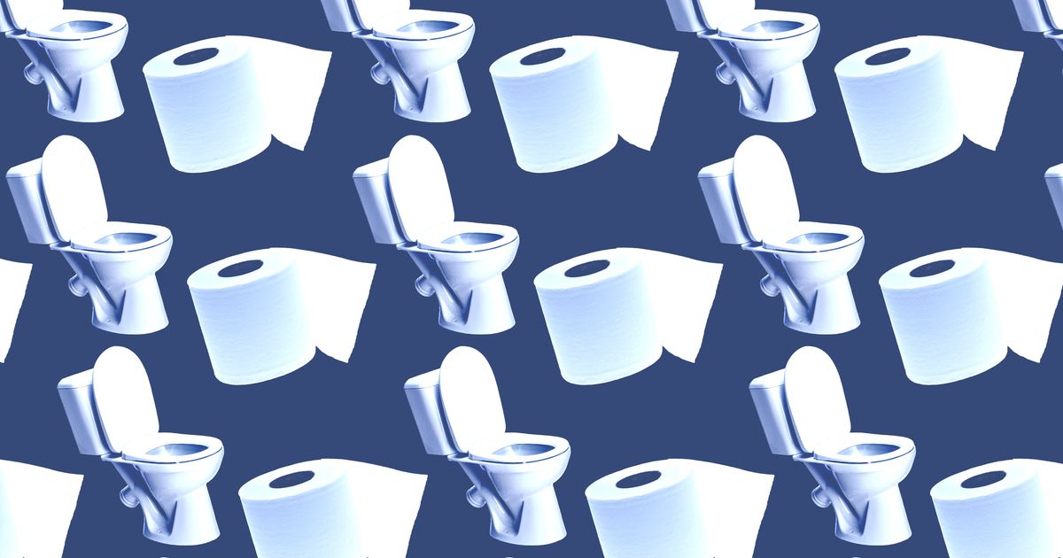 Everything We Know About Human Bathroom Behavior