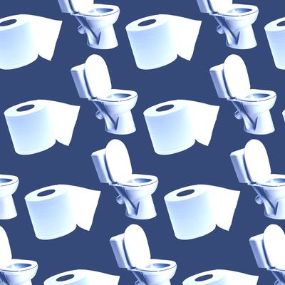 The case against always leaving the toilet seat down - Vox