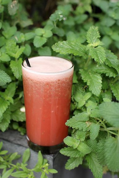 Empellón Taqueria
Nonalocholic aguas frescas are a brunch drink at Alex Stupak's taqueria. Flavors rotate seasonally, and lucky for us, the watermelon/chia version just came onto the menu. Sip this on a sunny Sunday morning with the windows open to West Fourth Street, and relish summer.