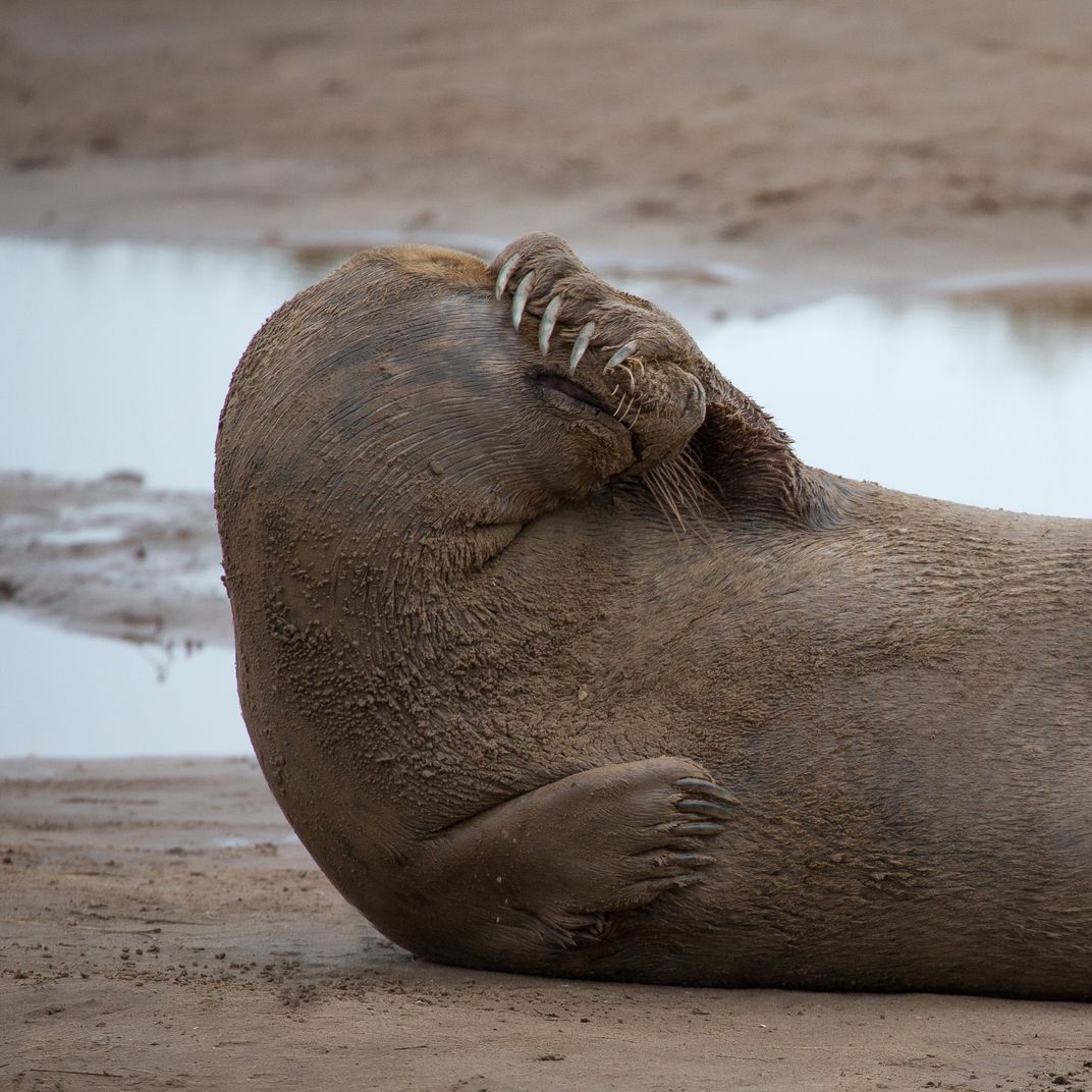 Doubts About My Girlfriend