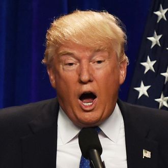 Republican presidential candidate Donald J. Trump speaks at the Saint Andelm College New Hampshire Institute of Politics in Manchester, New Hampshire June 13, 2016. 