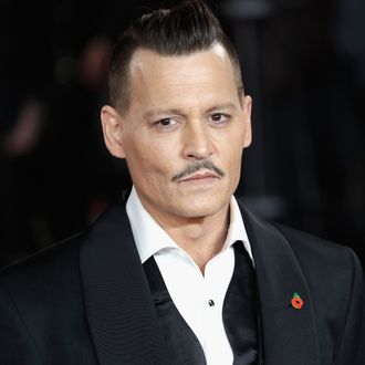 Fantastic Beasts Director Defends Johnny Depp