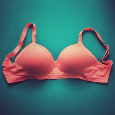 Should I Put on a Bra to Work From Home?