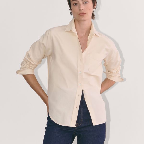 Everlane the Must-Have Oxford Shirt
