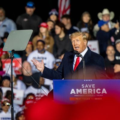 Trump Dangles Pardons His 2024 Insurrectionist Allies