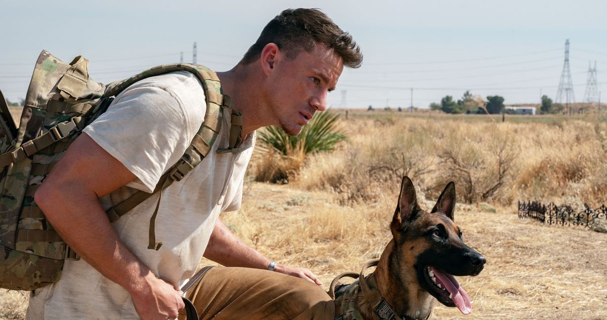 Channing Tatum Makes a Wobbly Directorial Debut With the Road-Trip Movie Dog thumbnail