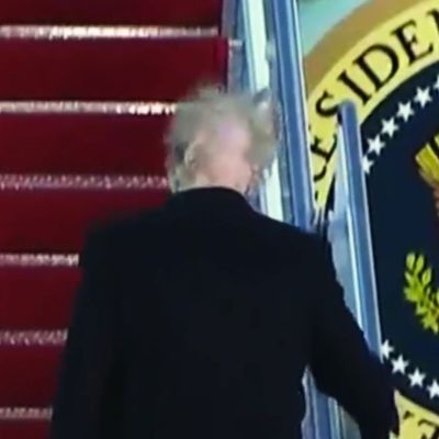 Trump s Hair Illusion Came Undone and We All Missed It