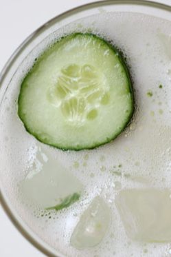 银龙舌兰酒、黄瓜、塞拉诺高柑橘在智利pequin salt