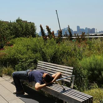 A man relaxes on a bench in the along the High Line park during warm weather on July 6, 2012 in New york City. Forecasts for tomorrow are predicting temperatures near 100 degrees Fahrenheit (38 Celsius) and may feel as hot as 106 because of humidity, according to the National weather Service. Much of the midwest of the United States has been experiencing a severe heat wave which has devastated crops and kept people indoors.