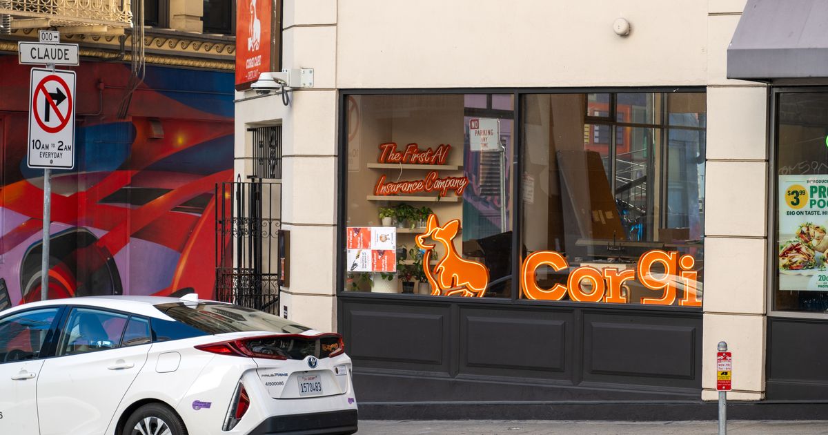 Kultura práce bez volna? Jak startup Corgi mění pravidla v kancelářích Nomadu