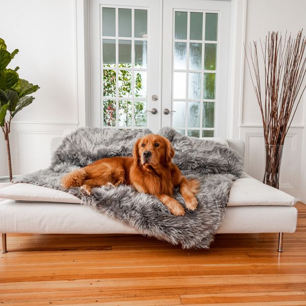 Blanket Reversible Top Memory Foam Water-Resistant Liner SportPet Designs Luxury Sofa Lounge Pet Bed 