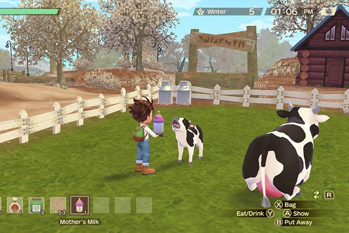 Harvest moon hot sale video game