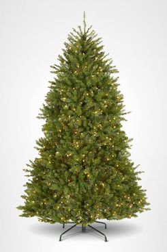 National Tree Company Pre-Lit Dunhill Fir Tree - 7 Feet