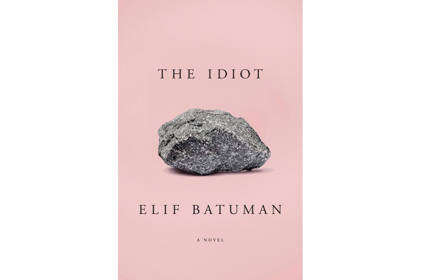 the idiot book batuman