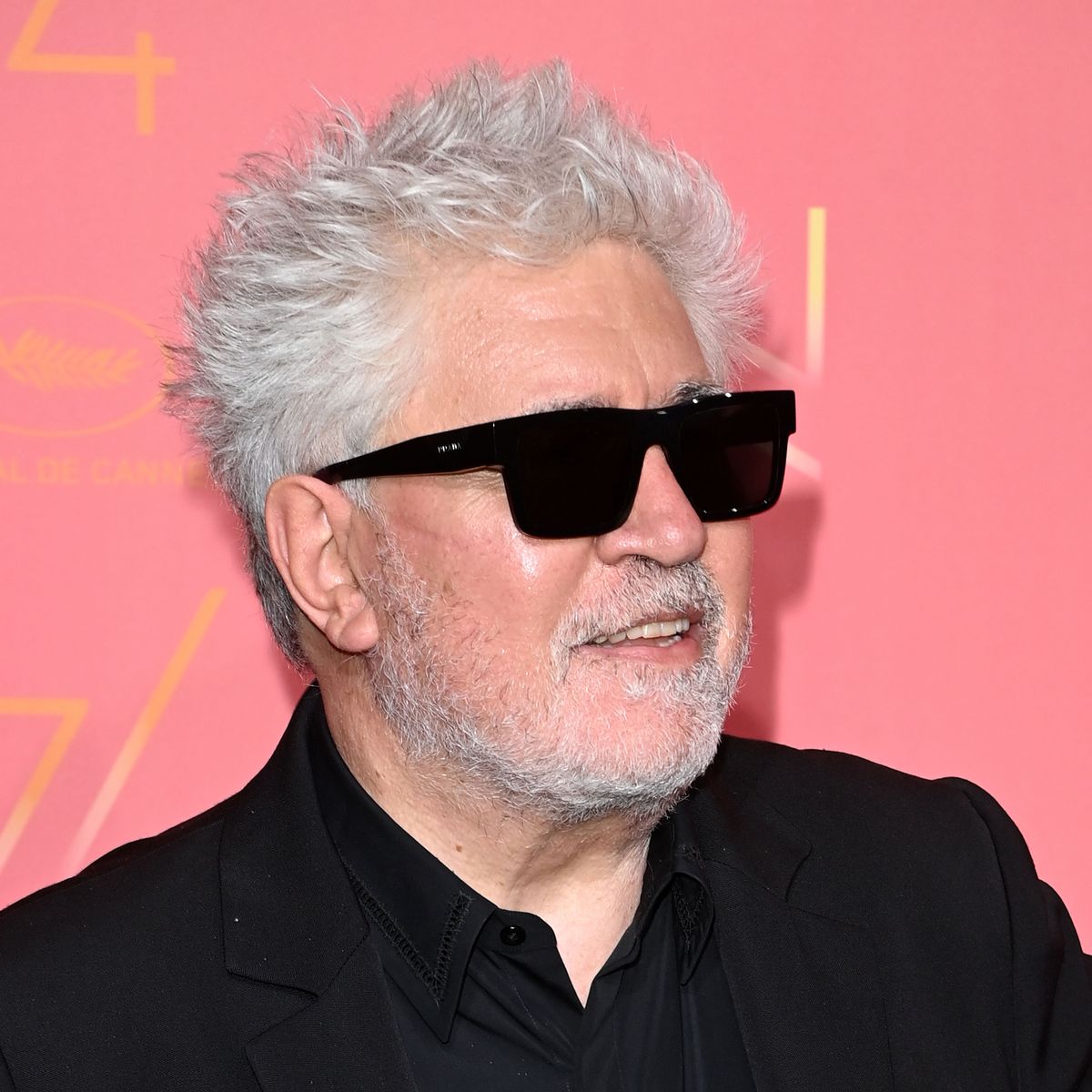 Instagram Frees Pedro Almodovar S Movie Poster Nipple